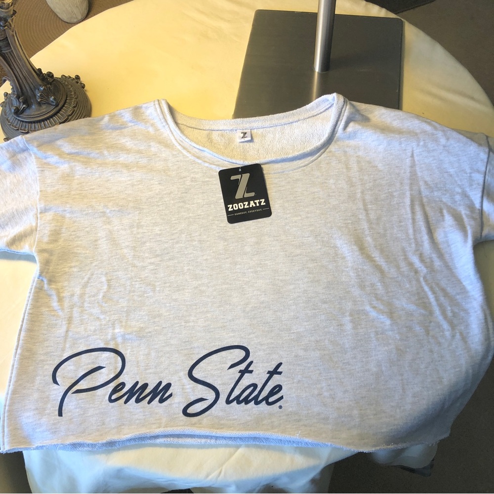 Penn State, Long-Sleeved Crop Top - Gray Sweatshirt Material - Zoozatz